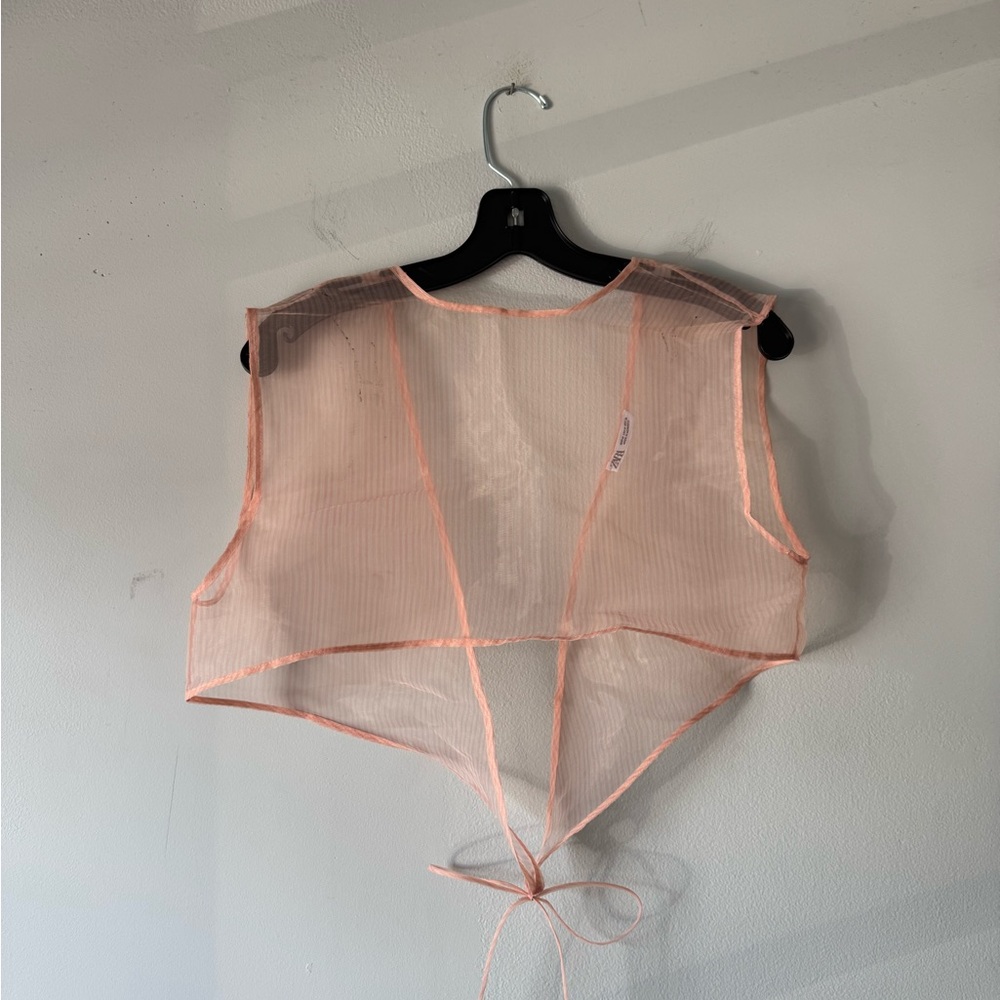 Zara Striped Organza Skirt/Top